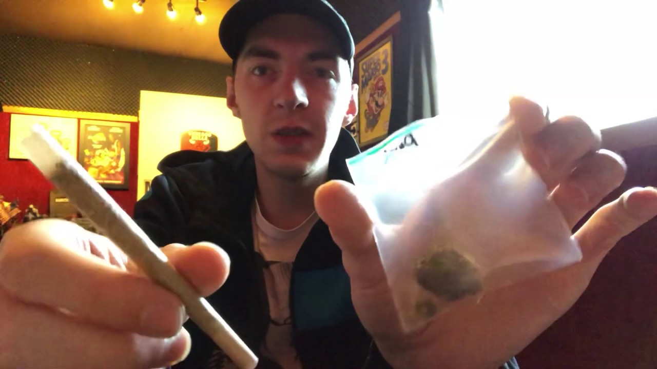 Purple Paradise God Haze Strain Review Smoke Session