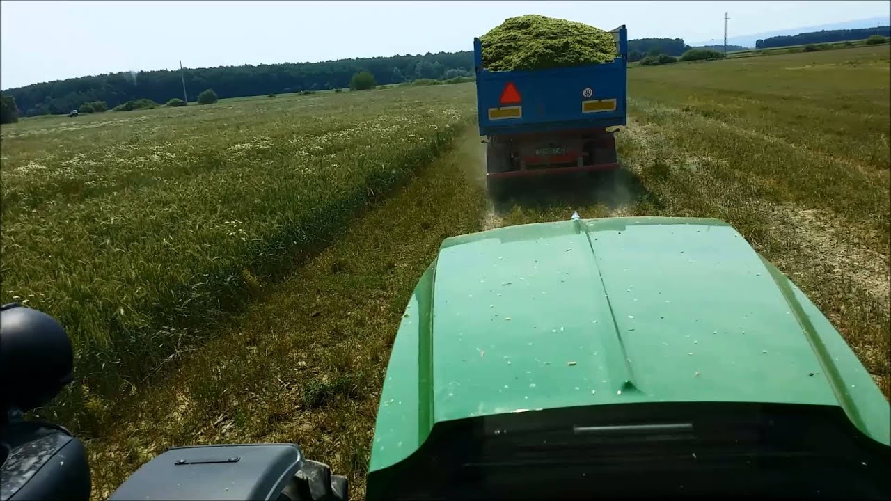 Silaža tritikala 2015.