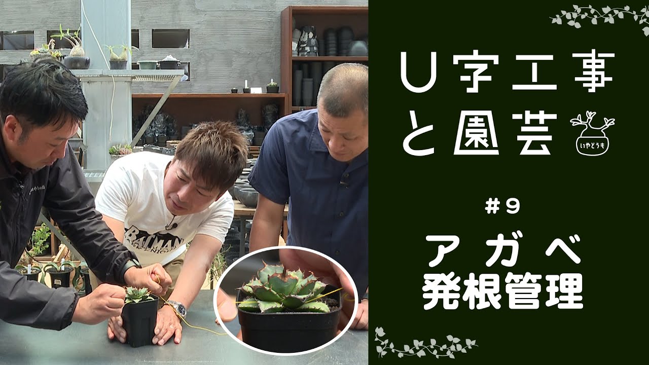 U字工事と園芸　#09