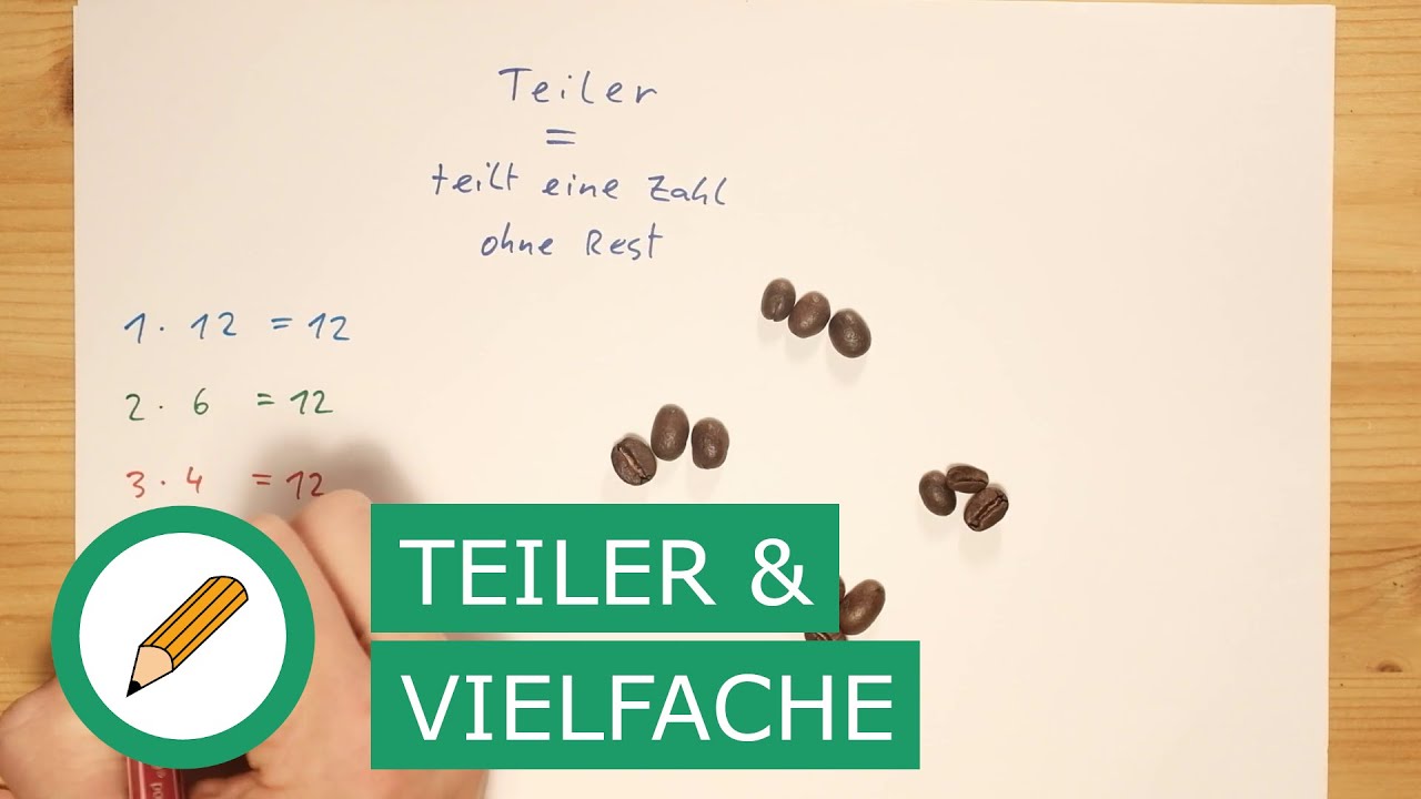 Teiler und Vielfache | Mit Stift und Papier