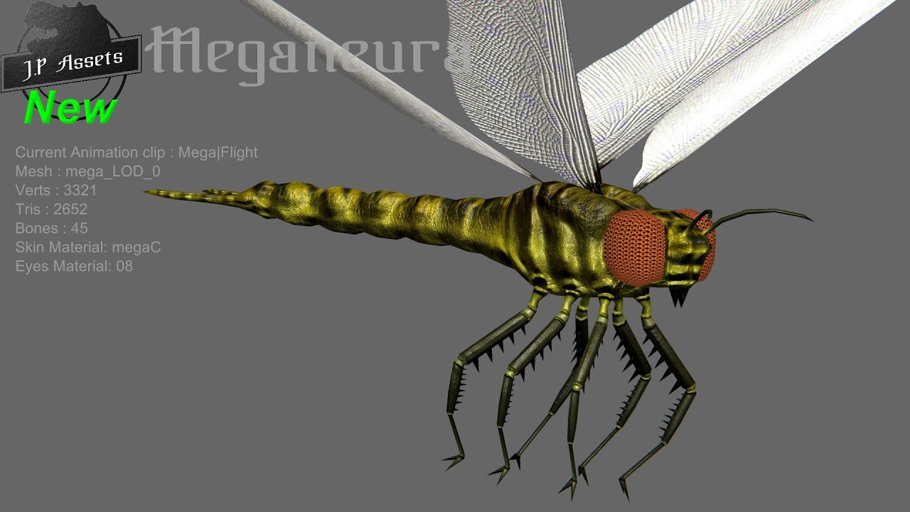 Meganeura