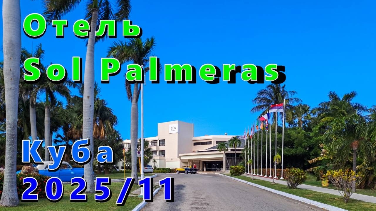 Отель Sol Palmeras