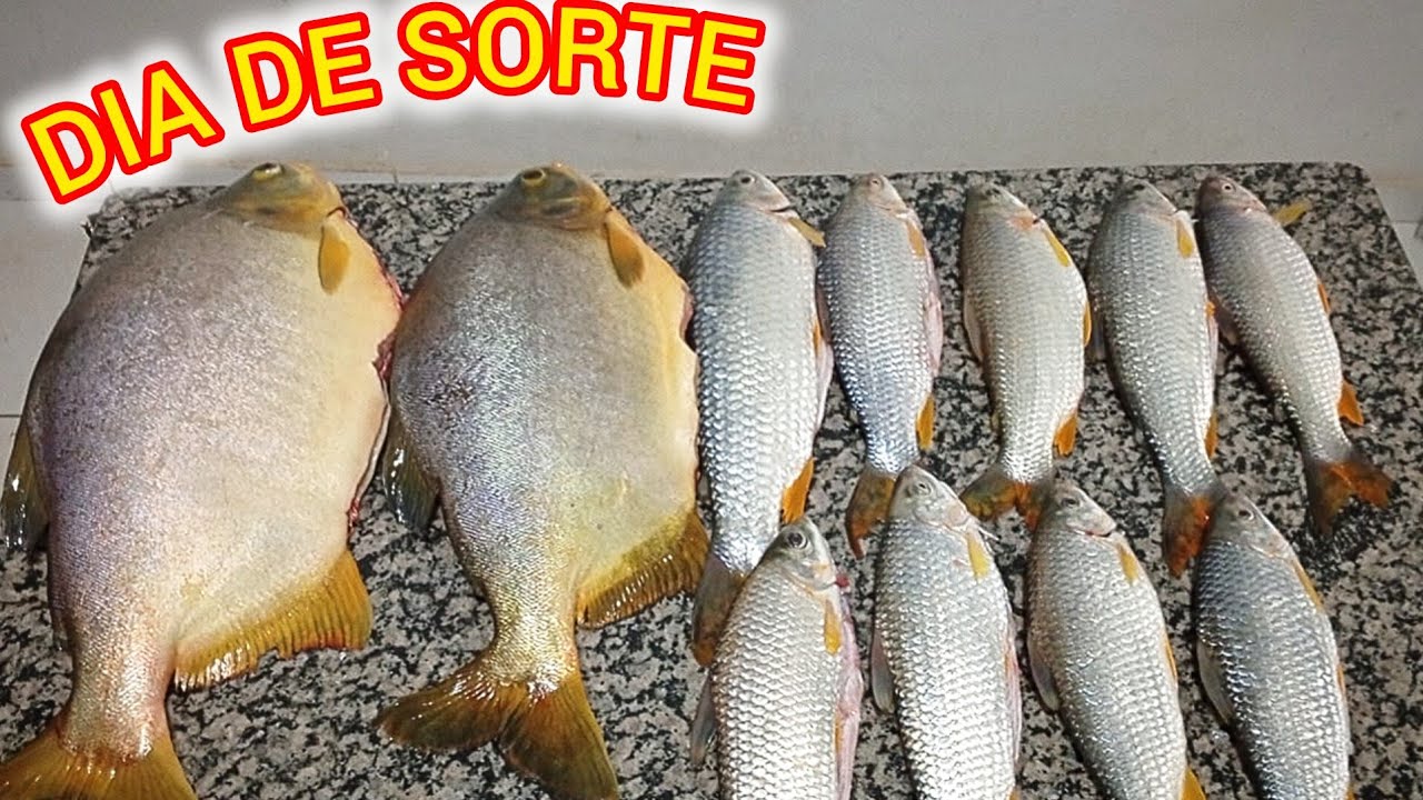 FARTURA EM DIAS DE POUCA AÇÃO- PESCARIA NO NORTE DE MINAS.