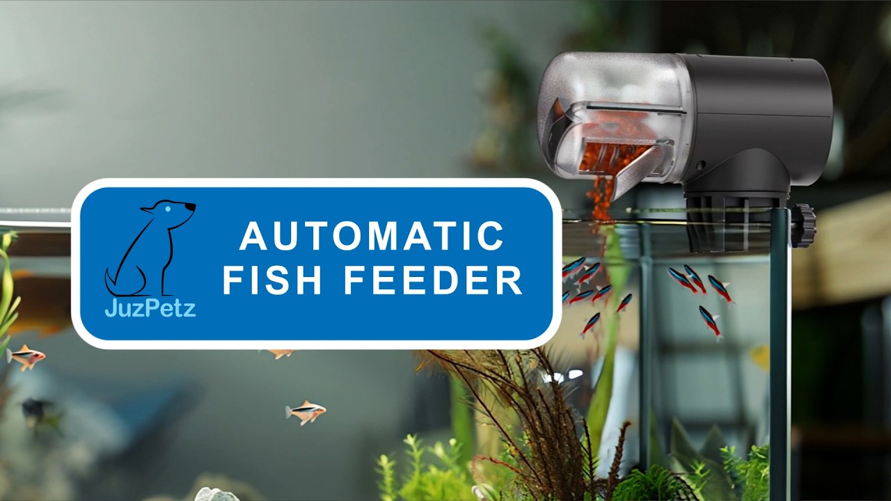 Automatic Fish Feeder with 4 Timer Settings