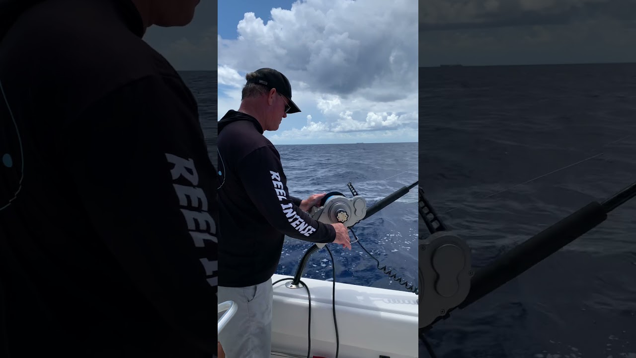 How to use a swordfish Buoy rod part 2