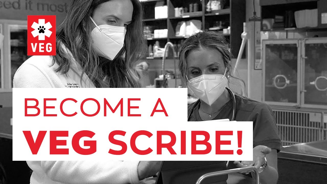 Become a VEG Scribe!