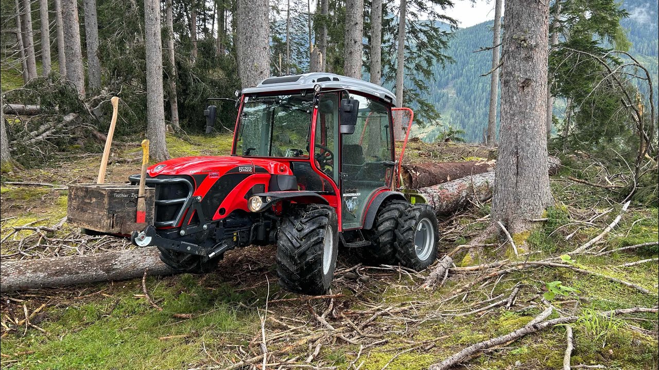 Windwurf aufarbeiten mit Carraro