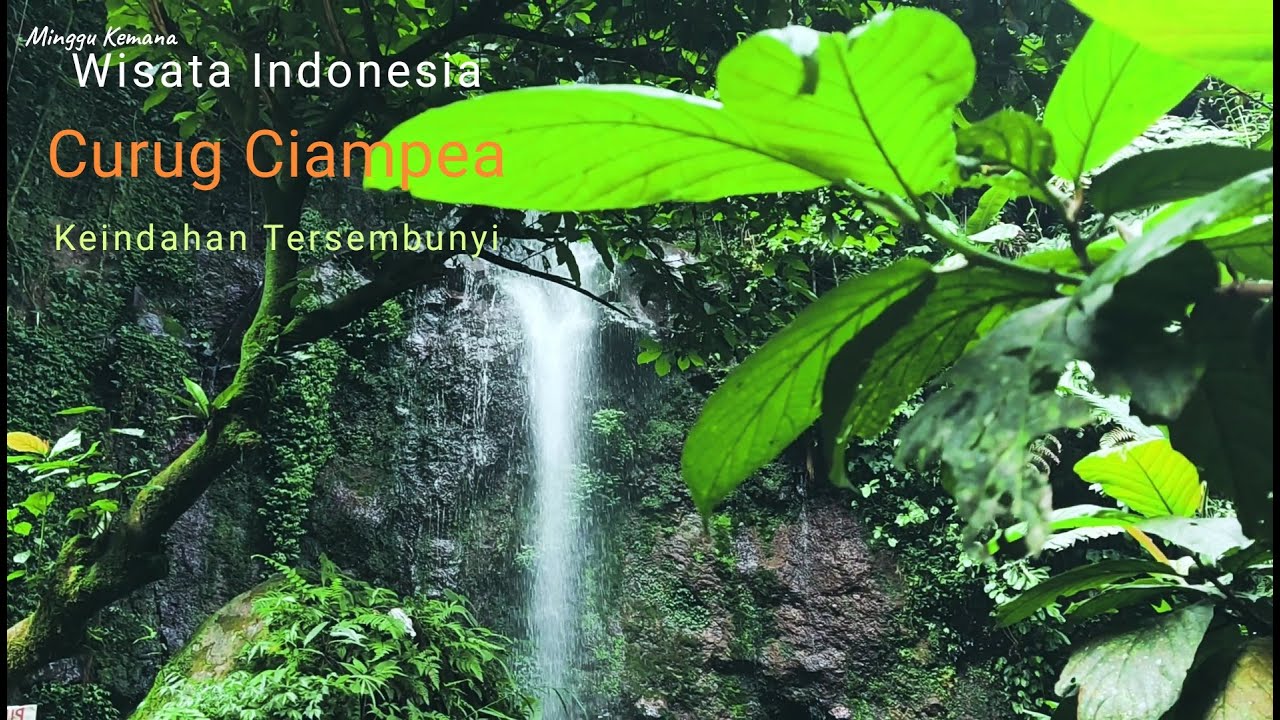 Curug Ciampea - Gunung Bunder Bogor - Wisata Alam 🌲