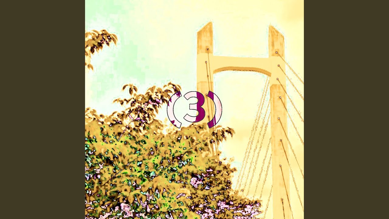 (3)