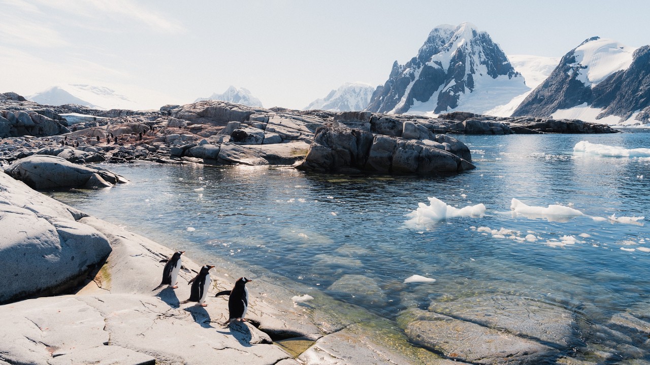 Antarctica Observations
