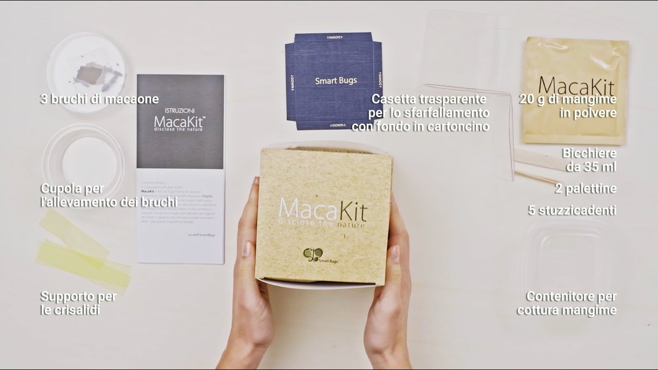 Tutorial MacaKit - Smart Bugs