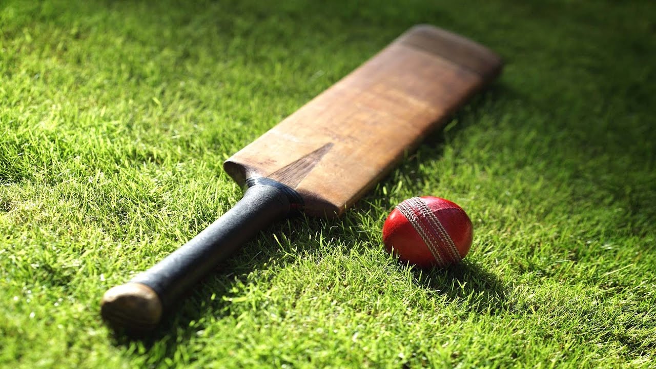 World Cricket Championship 2 Mod 