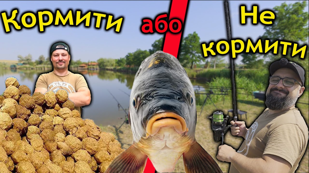 Годувати чи ні ? ● Вічне питання рибаків ● RoMaX Fishing ●