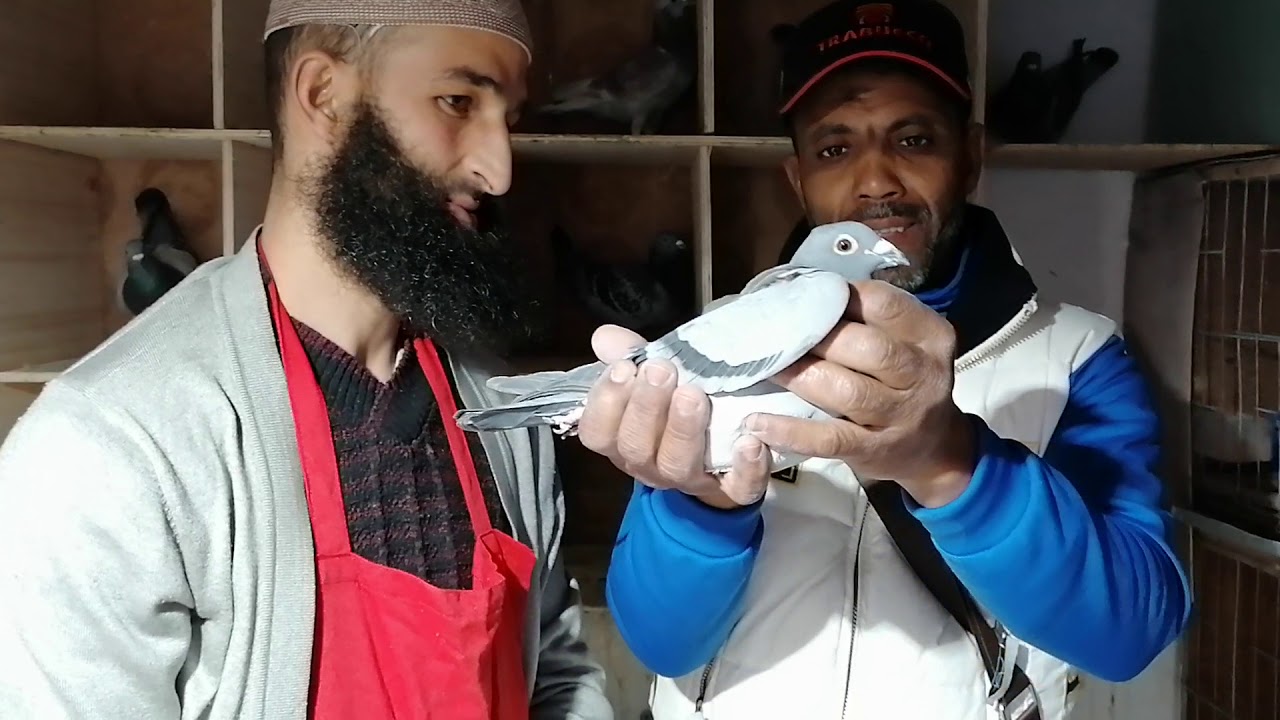 زيارة عند البطل الكبير مراد حمودي عن جمعية زيانيين بتلمسان الجزائر