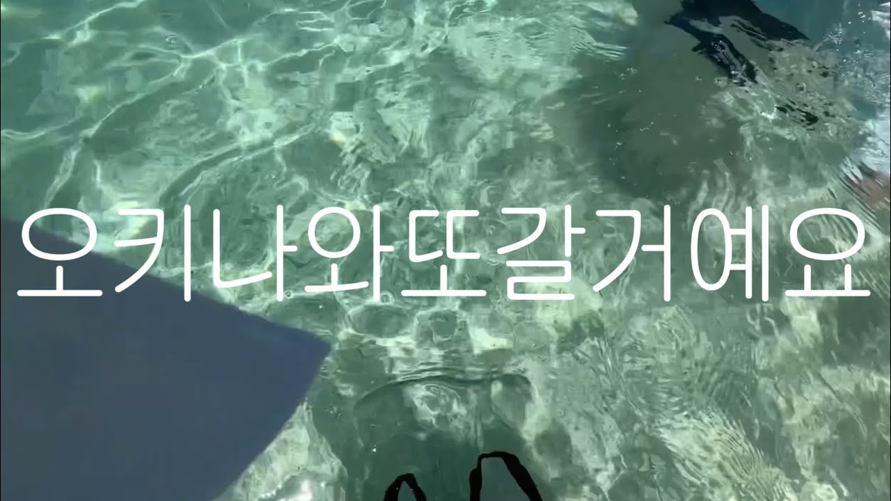 오키나와또갈거예요(일본에서캐나다친규와의소통법최초공개)
