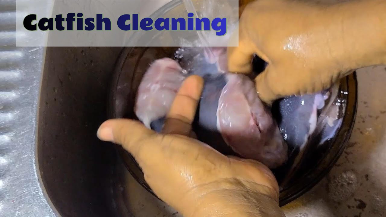 I Found This New Way of Removing Slime From Catfish: How to Clean Catfish