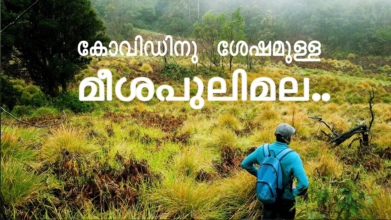 Meeshapulimala Trek | GRASS2MARS