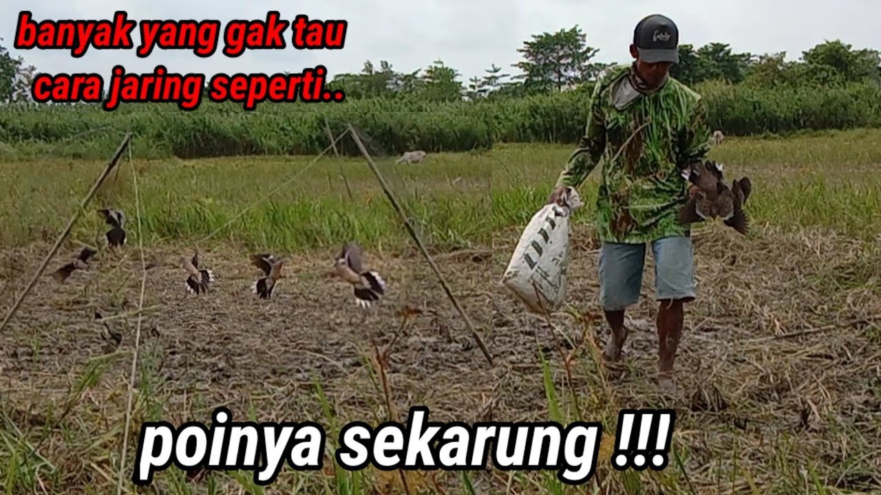 banyak yang belum tau cara jaring seperti ini//poinya karungan