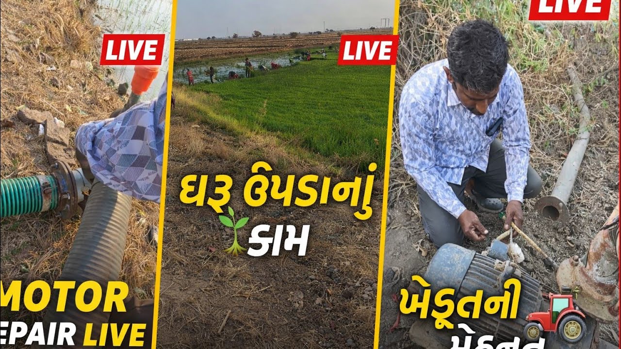 | Jay Kisan 🚜
