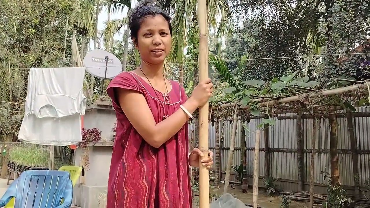 বগৰী পাৰিলো আজি mini vlog video 😚........#minivlog #vlog #vloglife #vlogging 
