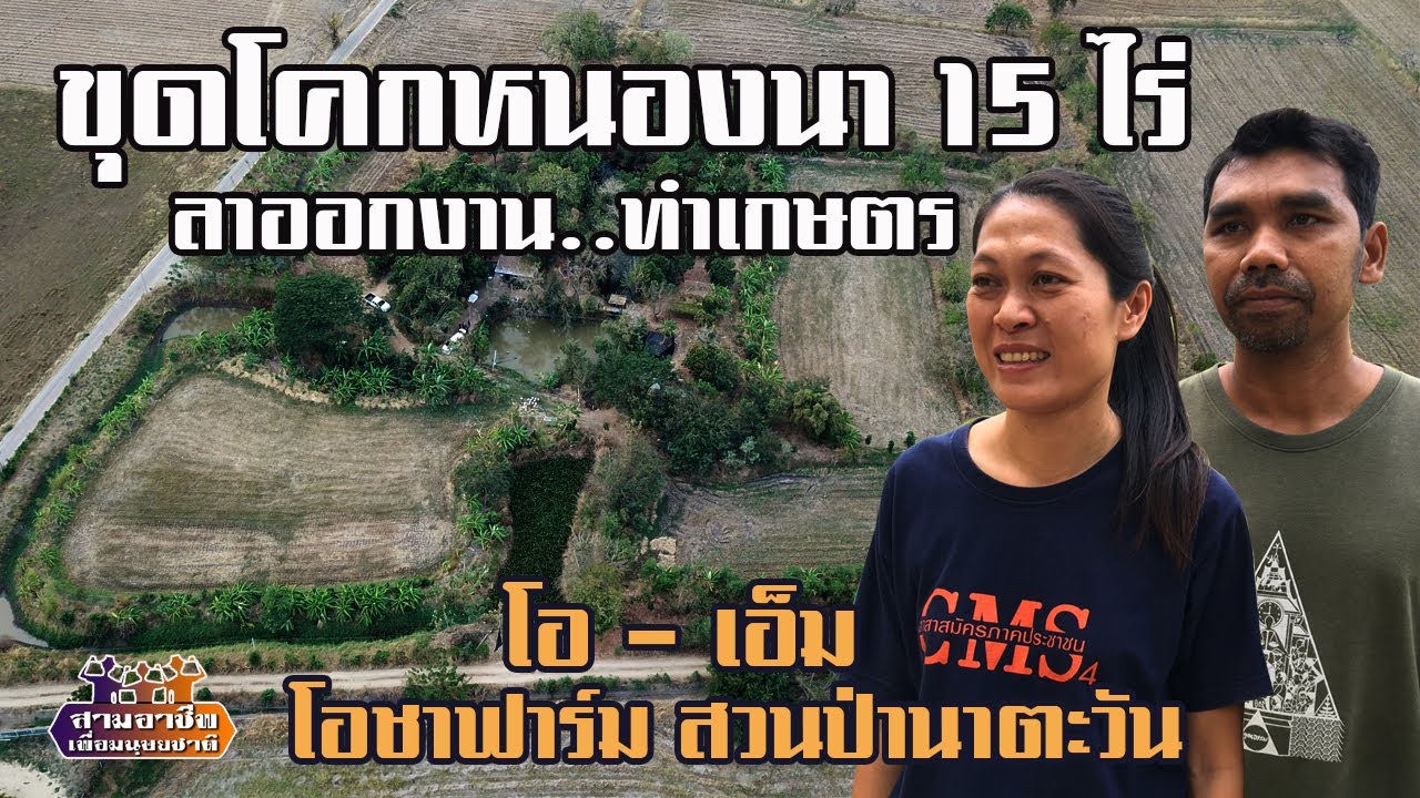 ออกจากงาน..มาทำเกษตร 