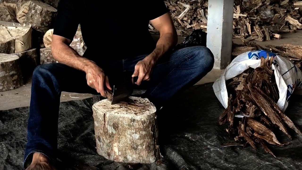 Wild Laos Agarwood distillations - 2018