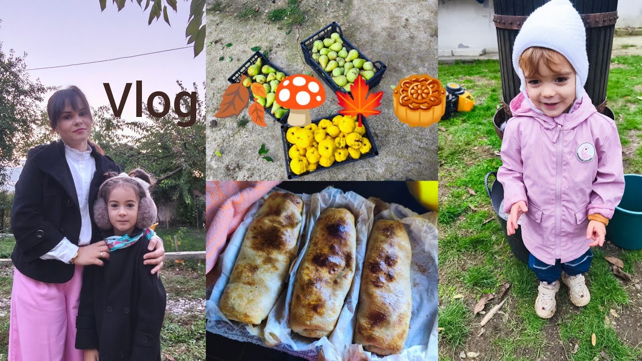 Vlog/🍂 O toamnă ca acasă | am cules via, fructele din livadă și am făcut plăcintă cu dovleac 🎃