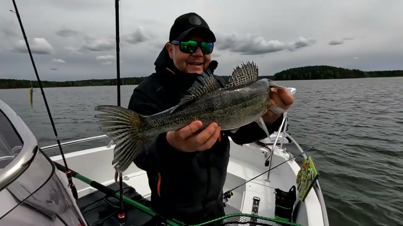 Kuhan kalastusta Lahden Vesijärvellä.