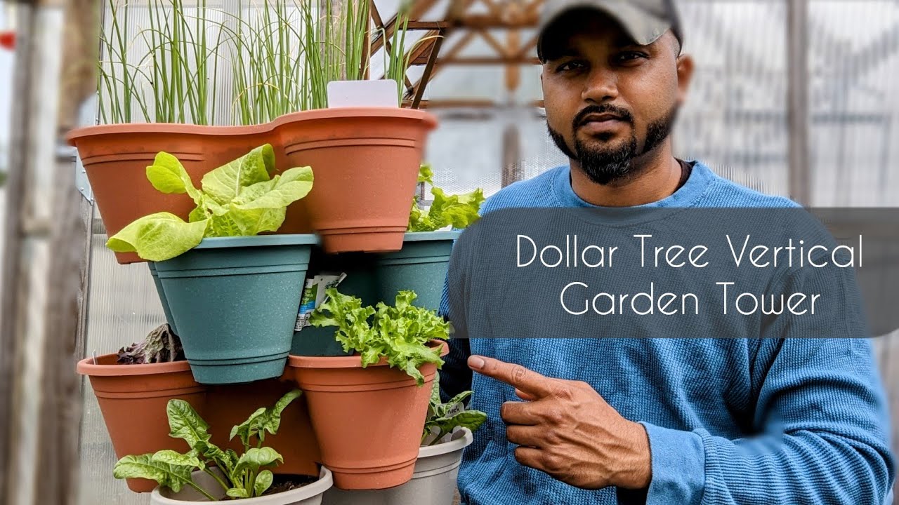 Stackable planters - Harvesting - Dollar Tree Vertical Garden Tower