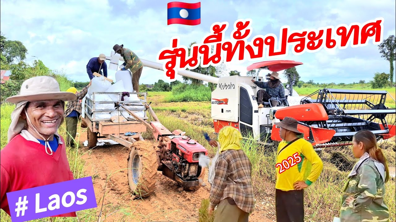 Laos: เป็นรถเกี่ยวนวดข้าวที่เหมาะสมกับผื่นนาเล็กๆ