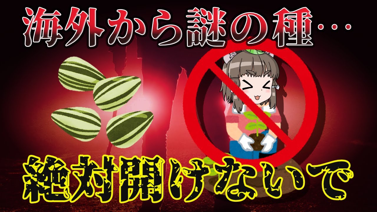 【ゆっくり解説】海外から謎の種！？その植物絶対に植えないで！