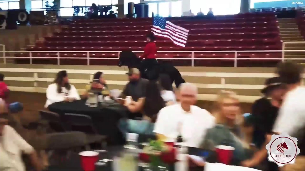 Asheville Alive 2022- Piedmont Paso Fino Horse Association Day 4