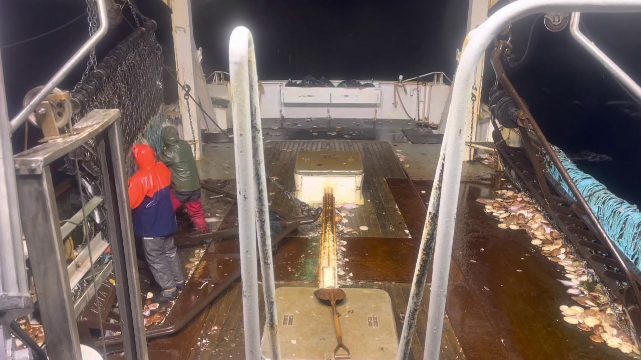 Scalloping haul back George’s banks