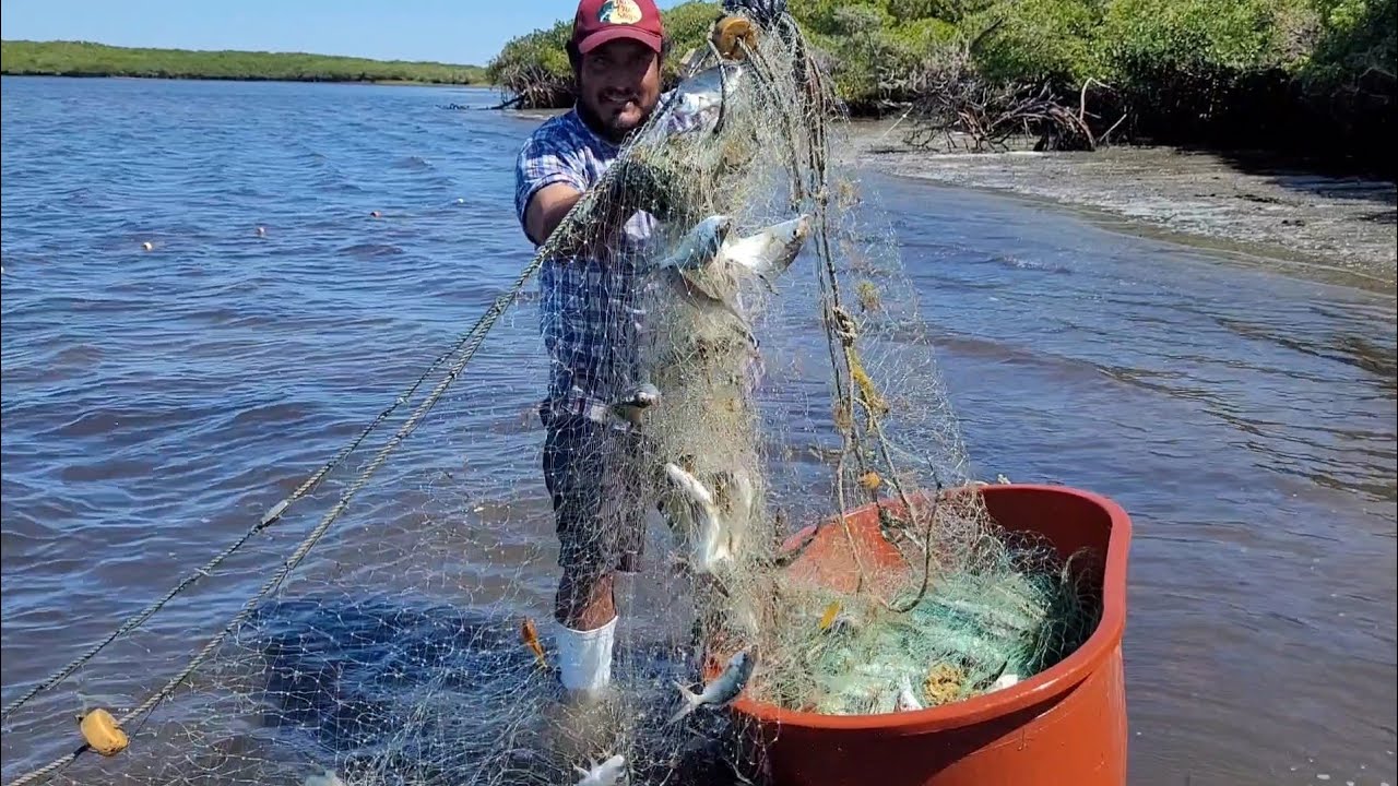 Pesca de mojarra nos fue muy bien 👍 