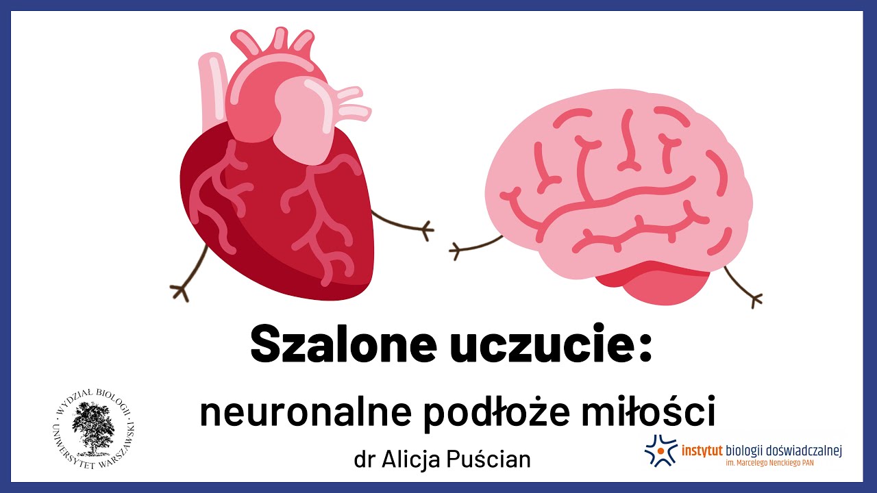 Szalone uczucie, czyli neuronalne podłoże miłości! - dr Alicja Puścian