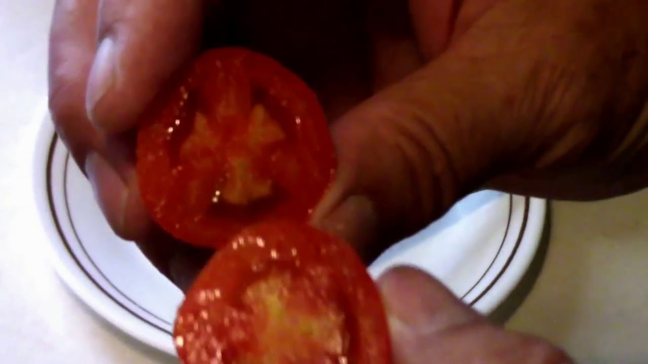 Mountain Magic Tomato Taste Test - A Small Disease Resistant Tomato.