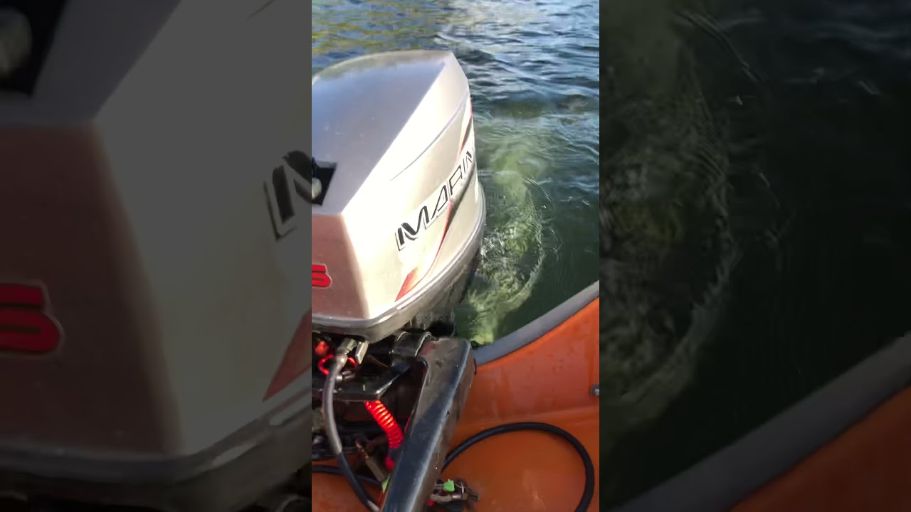 Askeladden 14 fots landstedbåt med 25 hk Mariner