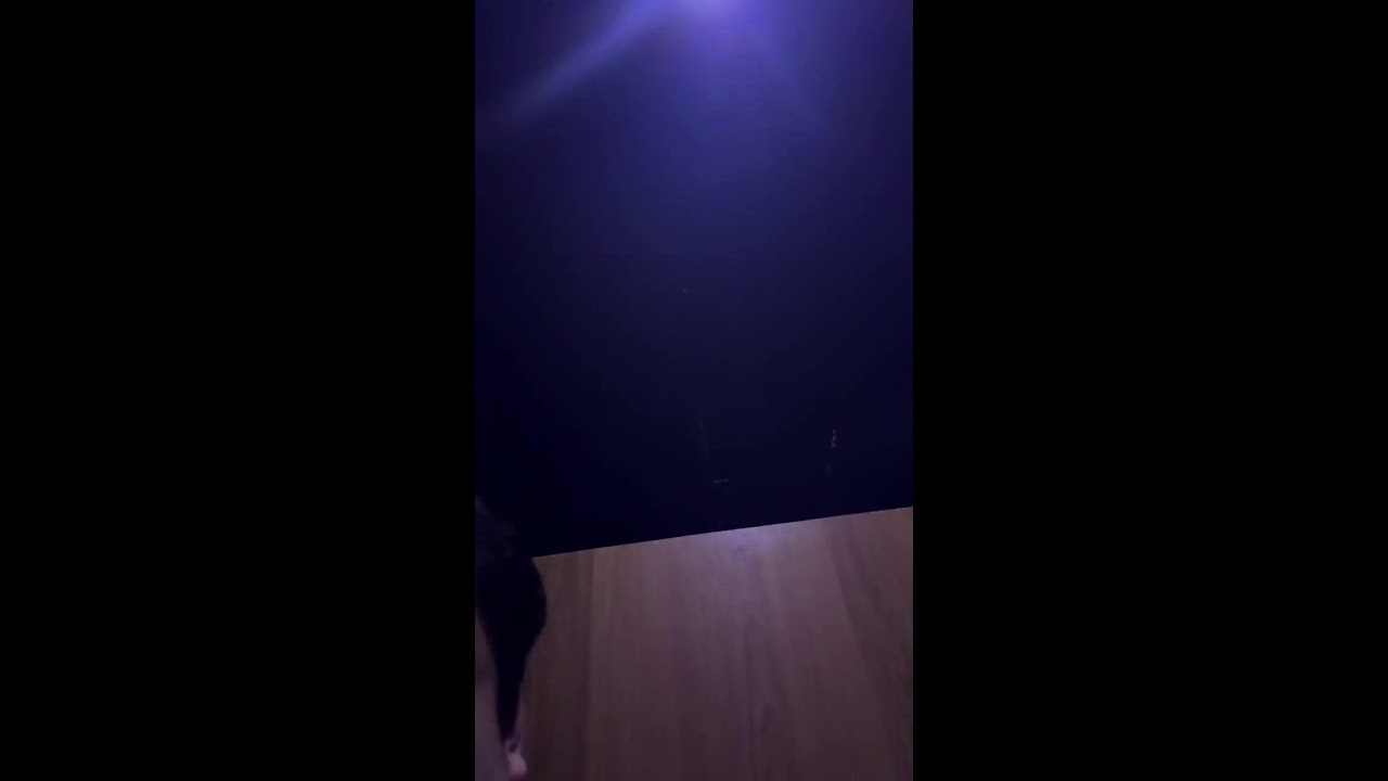 网吧大神直播