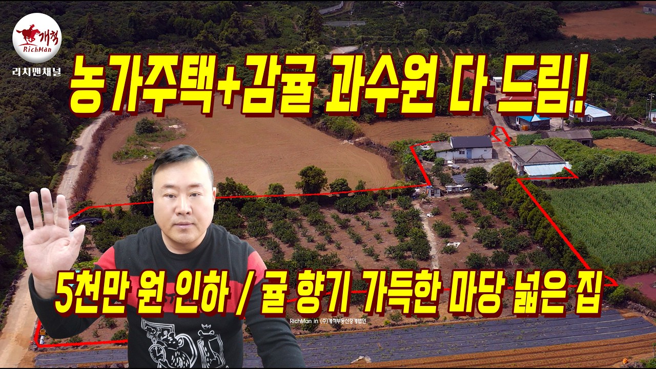 [급매] 농가주택+감귤 과수원 다 드림, 귤 향기 가득한 마당 넓은 집의 주인공이 되시죠!