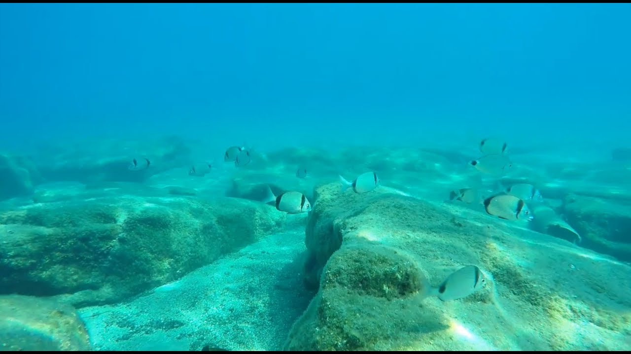 Mitis Blue Domes Hotel & Spa Kos Greece snorkelling at the hotel beach