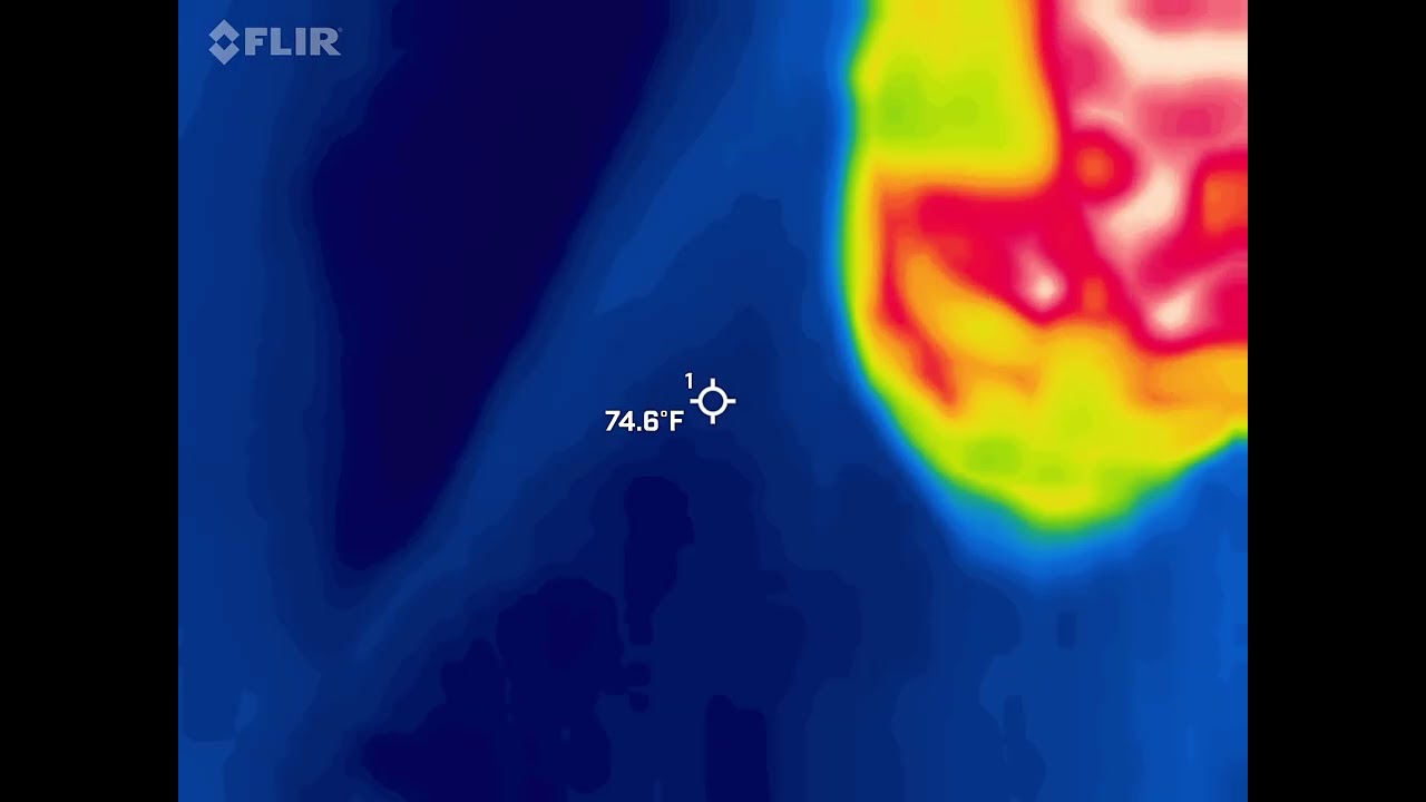 FLIR 20250420 122434