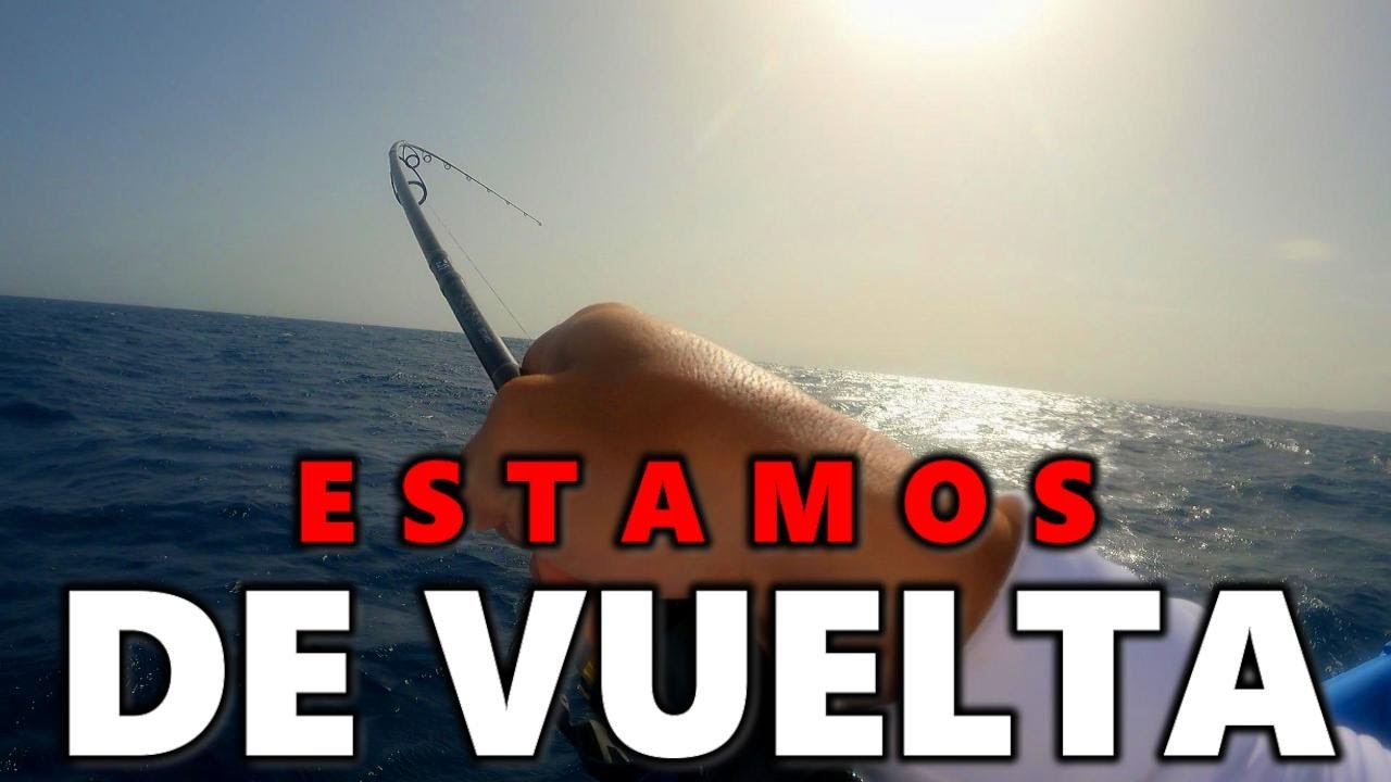 ¡VOLVIMOS! PESCA DE AGUJONES Y OTRAS ESPECIES CON SARDINAS VIVAS