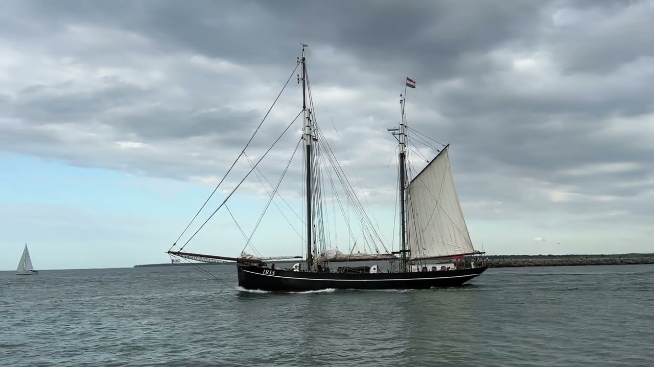 IRIS Segelschiff Hanse Sail Rostock 2024