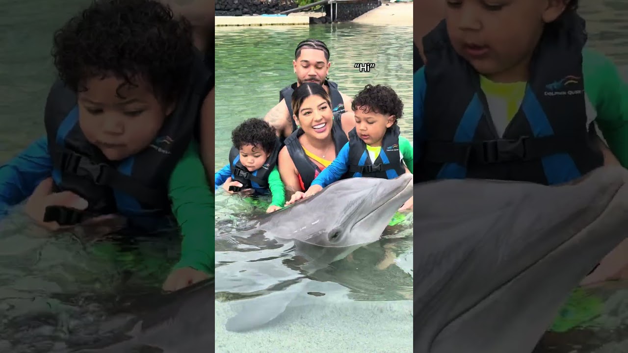 Подождите...😭🥹 @dolphinquest подарил нам незабываемые впечатления 🐬