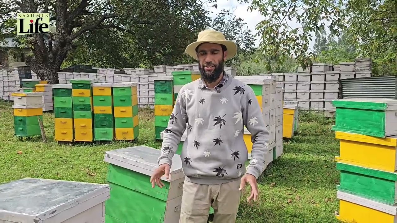 Budgam: Kashmir’s Honey Village Yields 700kg Pure Honey