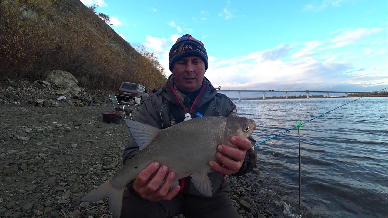 донской #лещ  🐋🎣📽️на фидер осенью с берега #осень #рыбалка #дон #fishing #фидер #донка #топ #рыба 