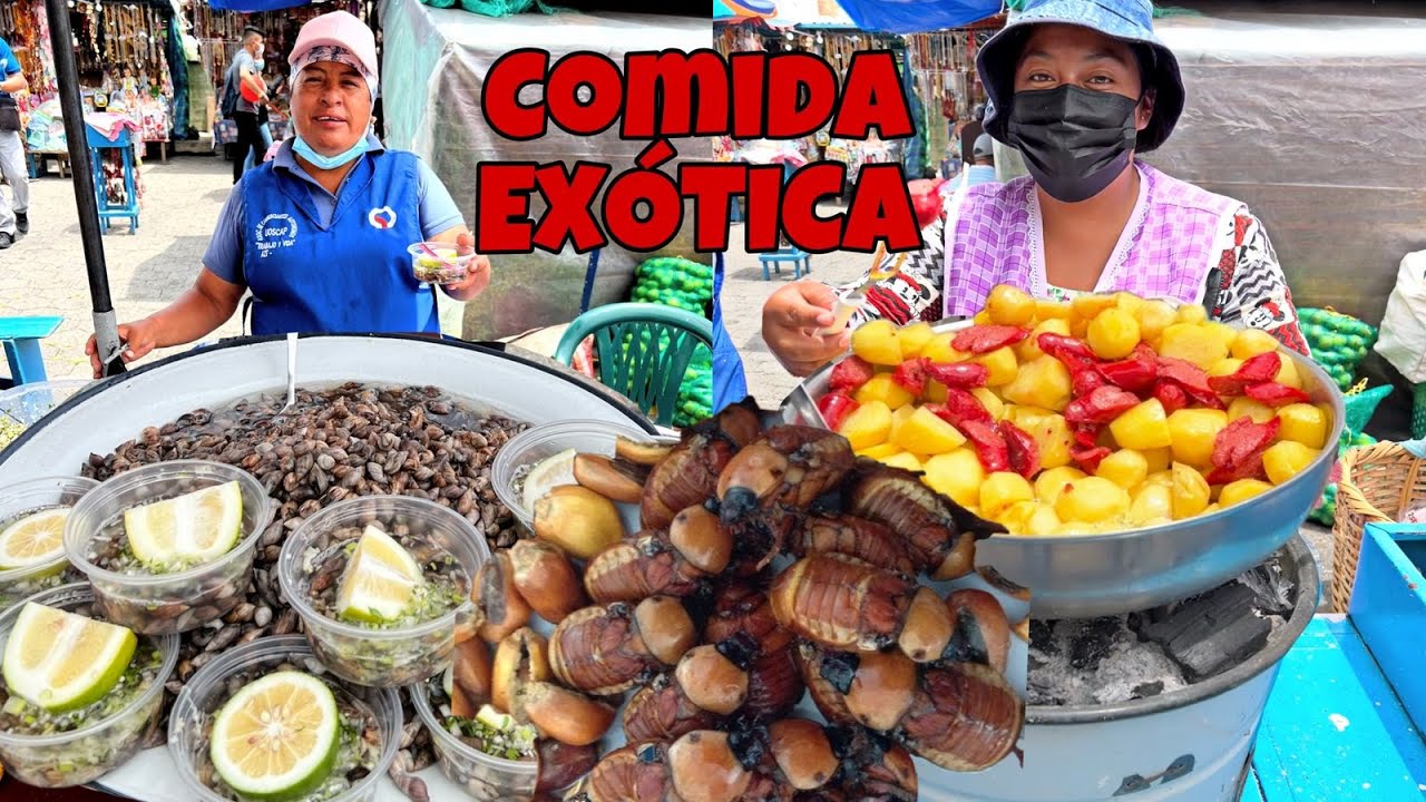 Comida EXOTICA CALLEJERA en Ecuador 🐌🪲🍴 - Josue y Elie