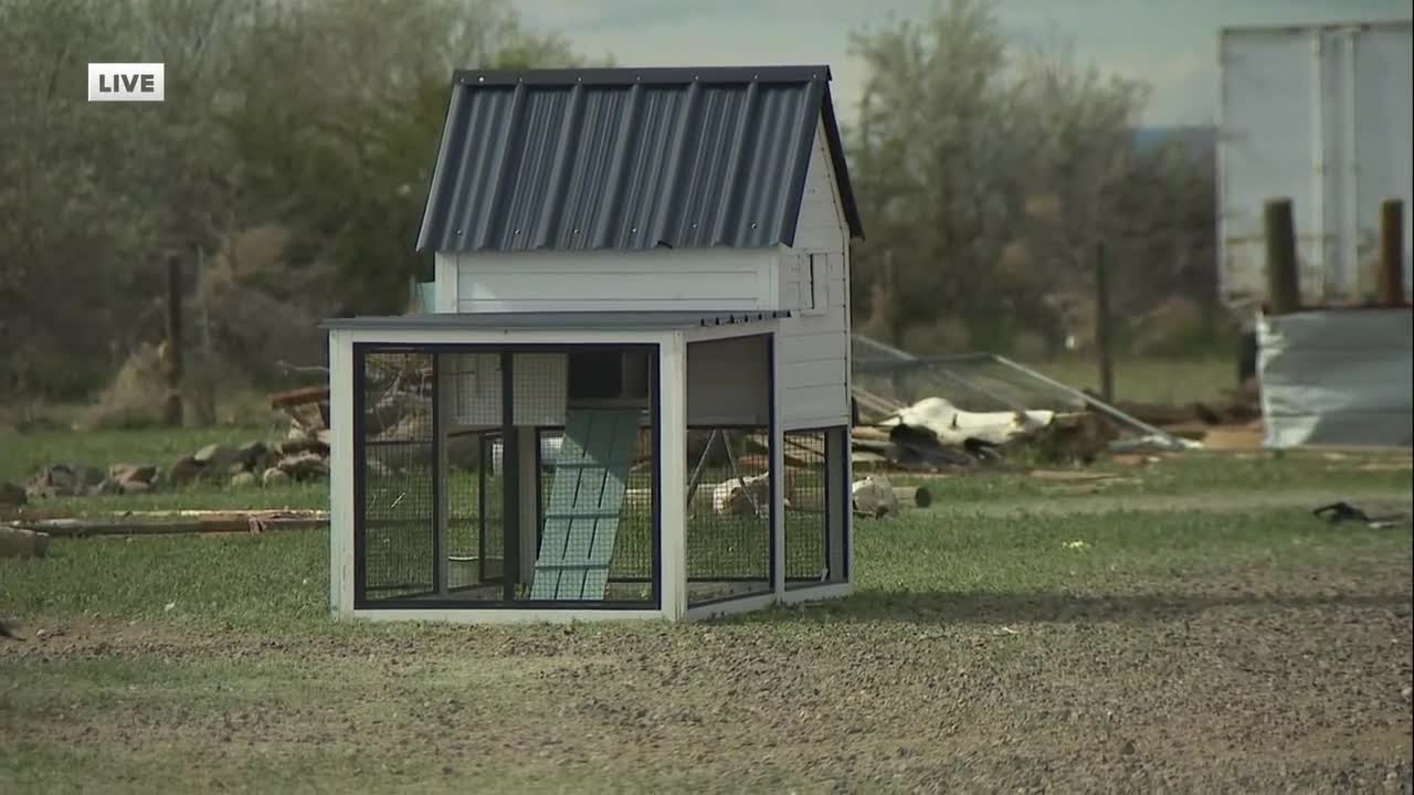 Denver7 Gives viewers step in to help tornado devastated Bennett family, and their chickens