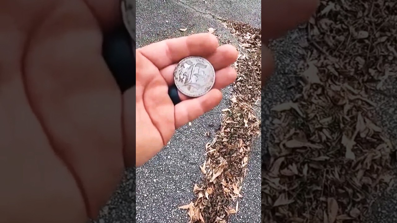Rare Silver Dollar Love Token Found By Metal Detector Hobbyists! CC Mint Too! #shorts