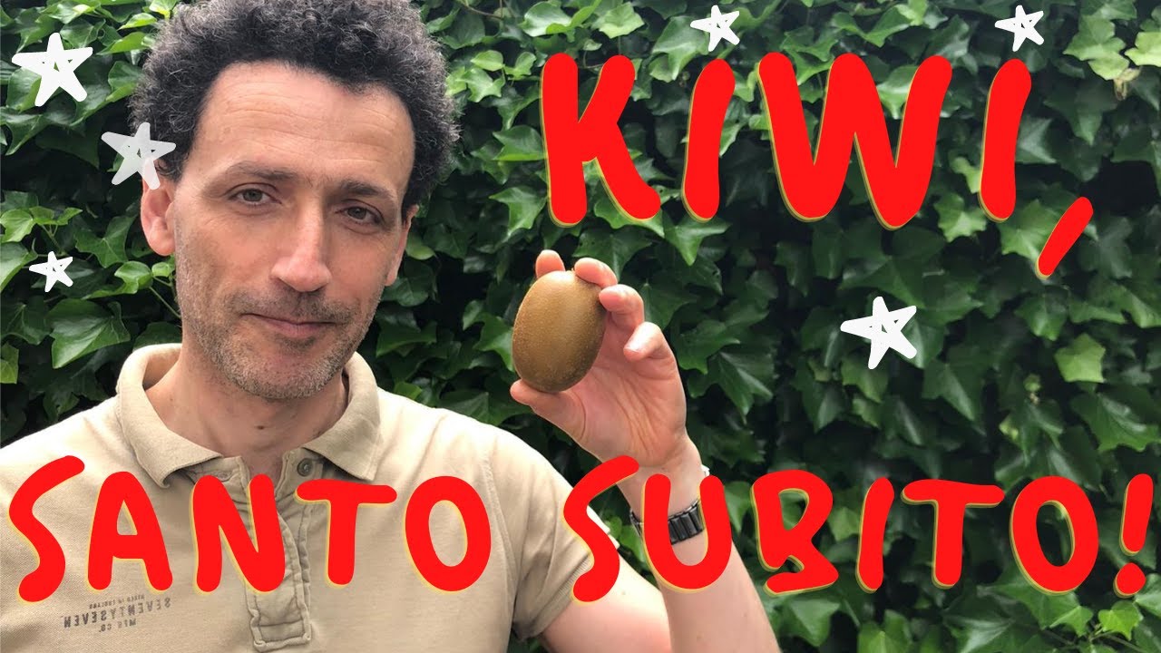 Tagli sicuri #1: il kiwi (e la cura per la stitichezza)